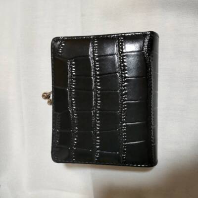 Vivienne Westwood Crocodile Pattern snap button closure Pocket Women's Wallet C