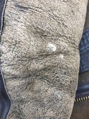 B-3 Shearling Boa Flight Jacket XL Size Men's Leather Brown