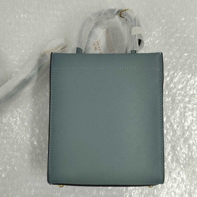 Coach mini bag shoulder bag handbag 2way C4828 B4 SAGE ladies Leather
