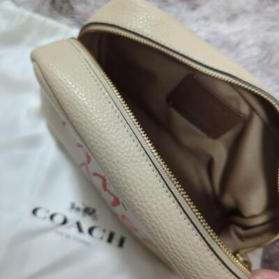 COACH Basquiat Collaboration Pouch Clutch Bag Beige COACH C5617