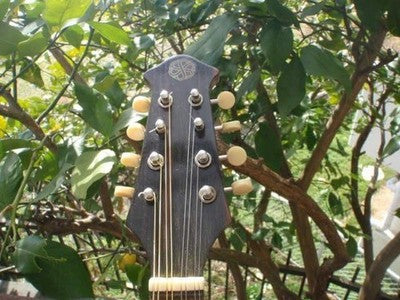 Suzuki Mandolin No.206 8-String Vintage 1964 Made in Japan Bowl Back
