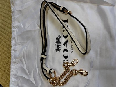 COACH CC790 Jamie Crossbody Bag White Dancing Kitten Cat Print Gold Chain