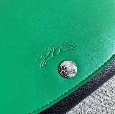 Longchamp Le Plague XS size Tote Bag Hand bag Shoulder bag Green Leather