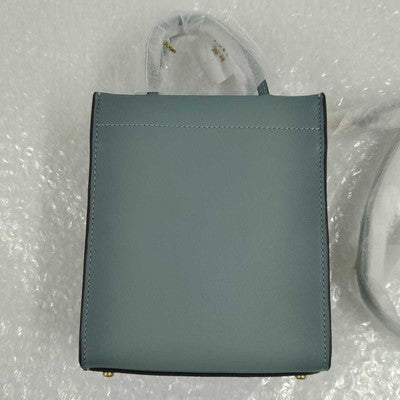 Coach mini bag shoulder bag handbag 2way C4828 B4 SAGE ladies Leather