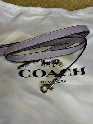 Coach C4250 Mollie Tote 25 in signature canvas Crossbody White Outlet New