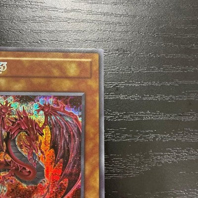 Yu-Gi-Oh Lord of Searing Flames Secret Original Illustration Japanese Limited
