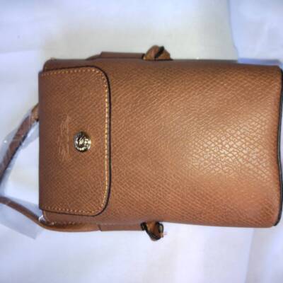 Longchamp Epurée Crossbody Bags Shoulder Bags Smartphone cases Brown Leather