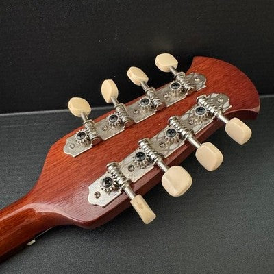 Suzuki M-215 8-string mandolin with hard case