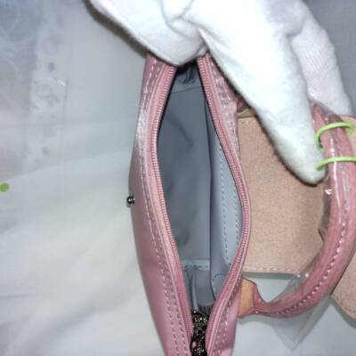 Longchamp Le Pliage XS size Tote Bag Handbag Tote shoulder bag Sakura Pinksp
