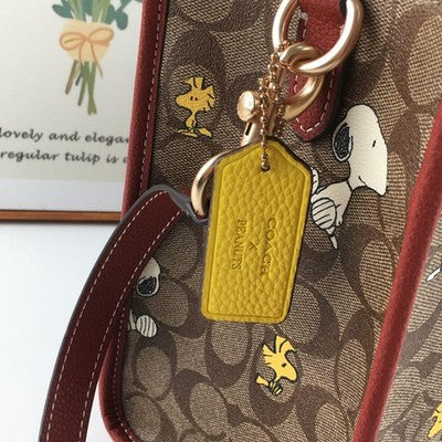 COACH x Peanuts Shoulder Tote Bag Dempsey Carryall Snoopy Woodstock CE862 New
